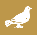 Siasat logo